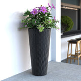 Noah Round Wicker Planter 2-piece Set in Black Balkene Home